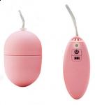  Egg Vibe 10 Function Remote Control