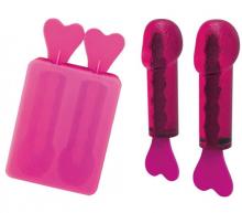 Pecker Popsicle Ice Block Tray 2 Pecker Popsicle Ice Block Tray Hens Night Peni Bride Bachelorette Tableware