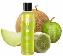 Wet Inttimo Cucumber Melon Aromatherapy Massage Bath Oil 240ml Romantic Quality