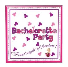 Hens Night Trivia Game Napkins 10 Pack Bachelorette Hens Night Party Trivia Game Napkins - 10 Pack